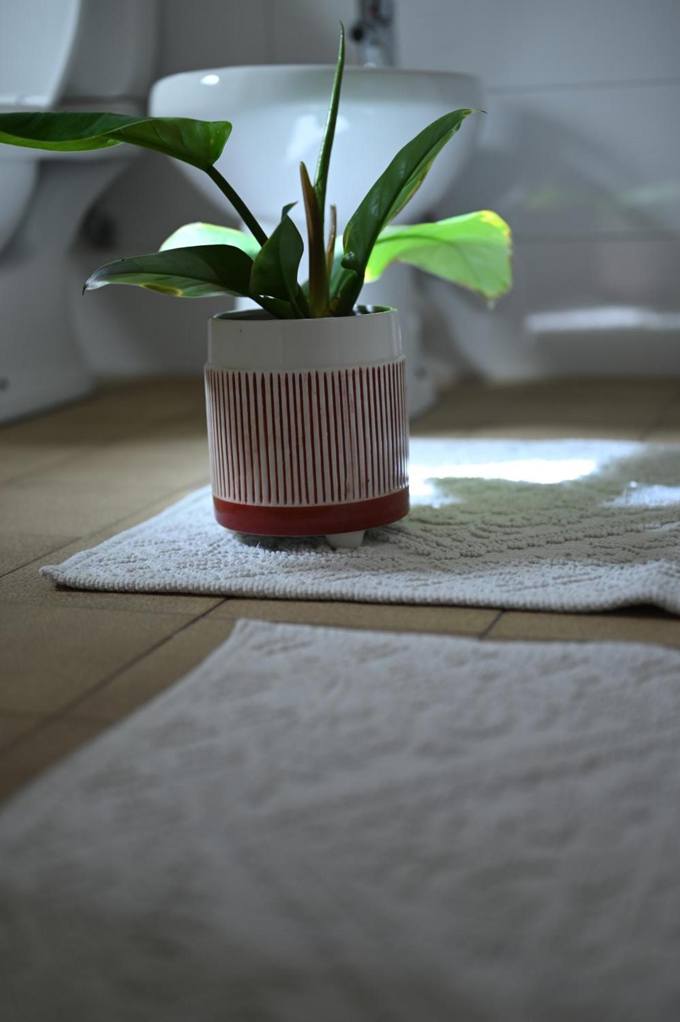 Niche Boutique Hotel Tirana Esterno foto